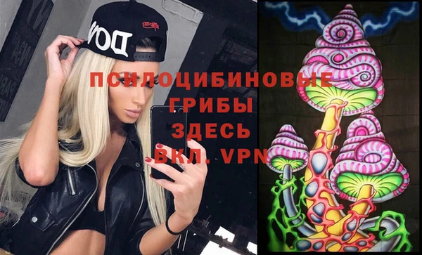 2c-b Кинешма