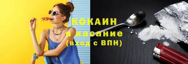 соль ск Алзамай
