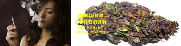 соль ск Алзамай
