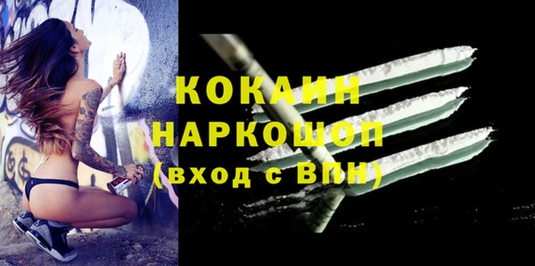 соль ск Алзамай